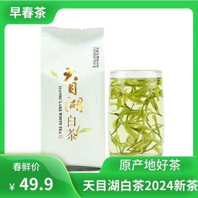 2024新茶天目湖白茶早春明前特级