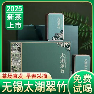 2025年新茶明前特级太湖翠竹茶叶清香型全芽绿茶雀舌罐装100g包邮