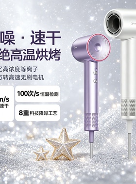 美的高速吹风机家用负离子护发电吹风等离子速干大风力风筒FG208