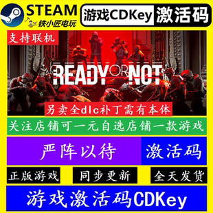 正版 CDKey 游戏全dlc永久入库可联机 steam全球激活码 严阵以待