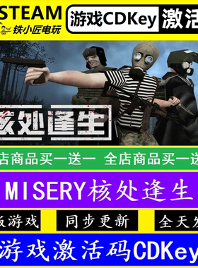 MISERY核处逢生 steam激活码CDKEY 永久入库 正版游戏全DLC可联机