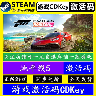 极限竞速地平线5 steam全球激活码CDK 正版游戏全dlc包更新可联机