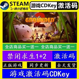 正版 CDKey PC全球Grounded2在线联机 2入库激活码 steam禁闭求生1