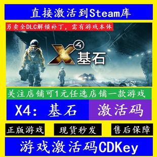 steamX4:基石 入库激活码CDKey 全DLC解锁补丁 X4: Foundations