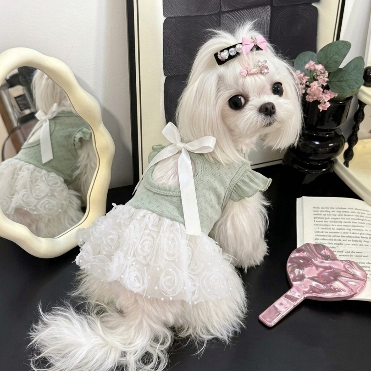 夏季新款狗狗衣服韩系甜美镂空公主裙泰迪比熊西施中小型犬衣服