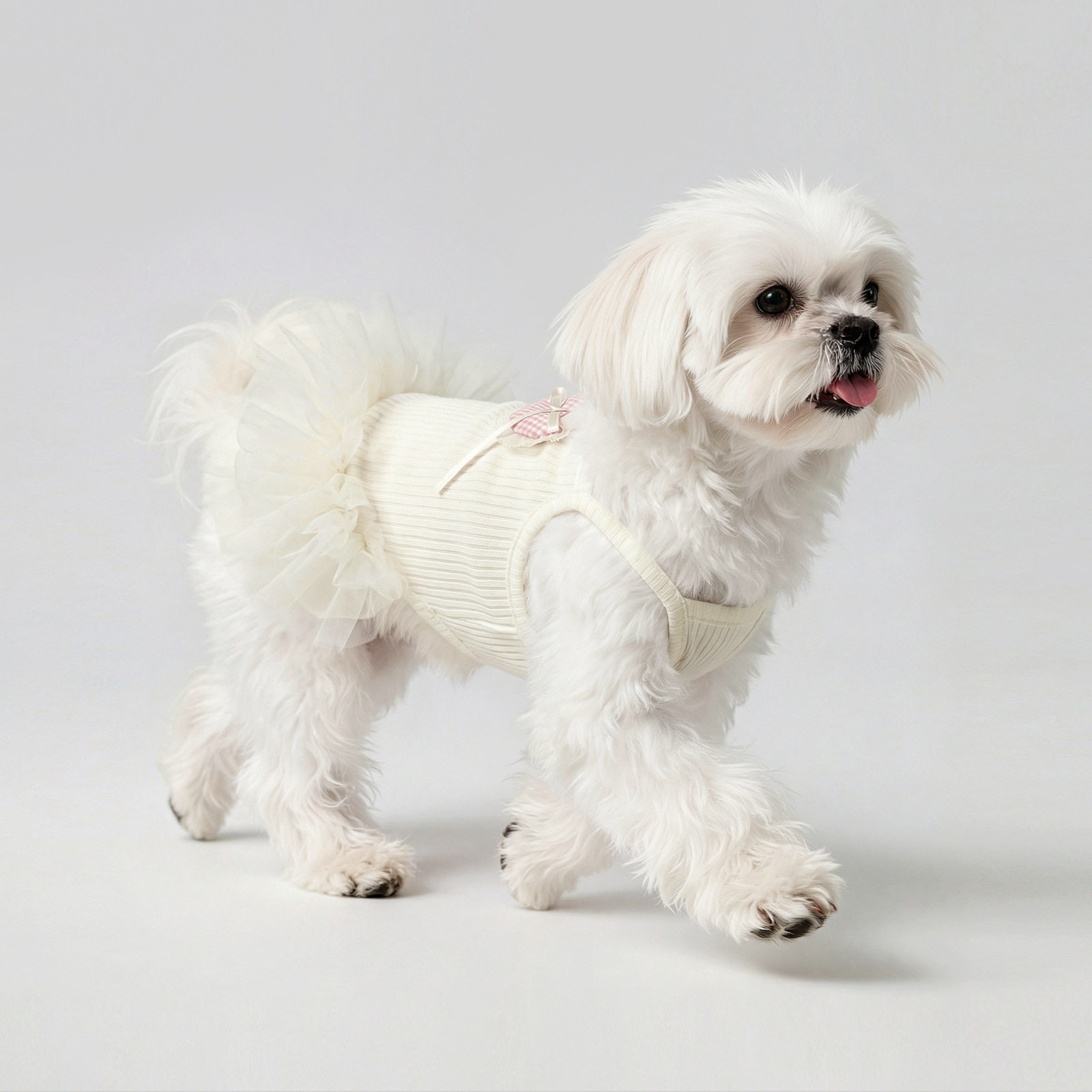 星尧宠物狗狗衣服夏季猫咪防掉毛薄款花边背心裙金渐层小型犬泰迪