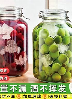 泡酒玻璃瓶密封罐青梅果酒瓶酿酒