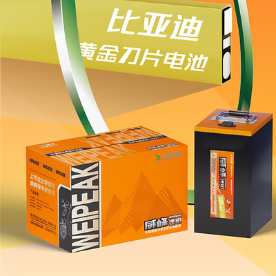 全新A品英可瑞威峰锂电池电动车三轮车电瓶比亚迪车规级刀片电芯
