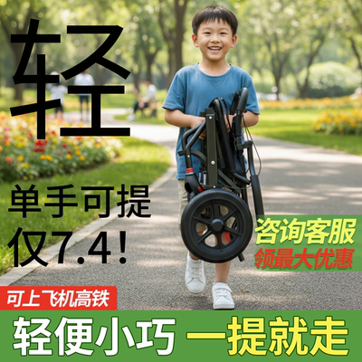 【顺丰包邮到家】折叠轻便出行