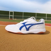 出口日本网布透气男女通用户外休闲运动羽毛鞋 网球综合运动鞋