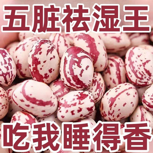 重回婴儿腎】云南斑马豆肾豆富贵豆斑马豆耳豆煲汤煮粥五谷粮青汁