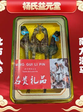 蓝标大海马干货公母配对煲汤泡酒