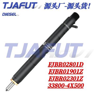 33800-4X500/EJBR02801D R01901Z 适用于起亚共轨喷油器