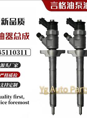 0445110311 0986435146 柴油共轨喷油器 适用于雪铁龙 标致 跳跃