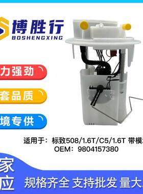 适用于标致508/C5/C6/1.6T/1.8T汽油泵总成汽油泵芯9804157380