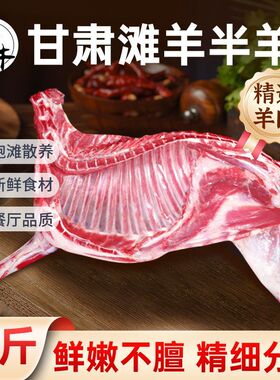 西牛优选 半羊滩羊乳羔羊10斤新鲜生羊肉草原散养羊排羊腿羊蝎子