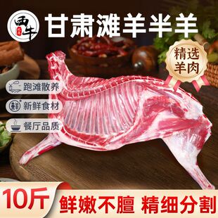 西牛优选 半羊滩羊乳羔羊10斤新鲜生羊肉草原散养羊排羊腿羊蝎子