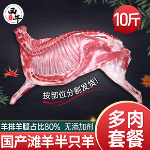 羊肉新鲜半只羊10斤生羊肉手抓羊肉羊后腿羊排羊蝎子火锅年货礼盒
