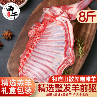 羊肉新鲜滩羊羊前驱8斤羊肋排前腿羊蝎子半只羊火锅食材礼盒套餐