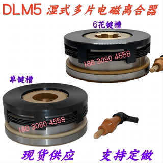 DLM5系列湿式多片电磁离合器DC24V质保一年DLM5-5C上海二机C6150