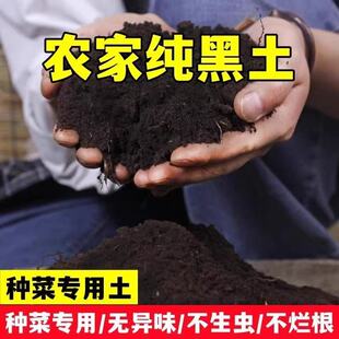 田园黑土养花种菜果树盆栽泥土