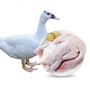 温氏天露番鸭鸭肉2kg土鸭子肉农家老家鸭飞鸭广东番鸭生鲜食品