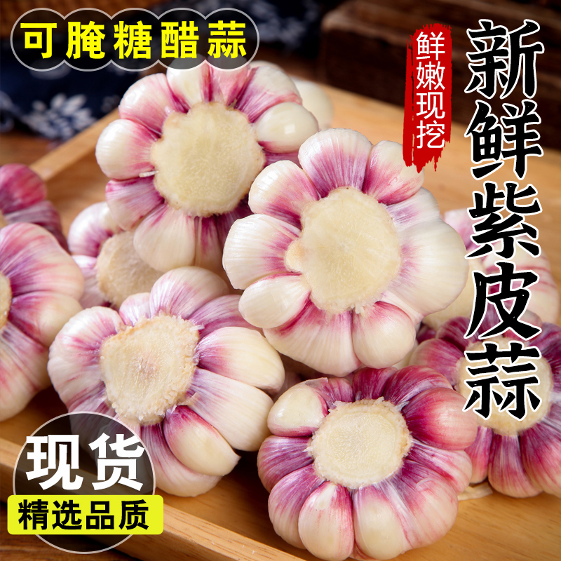 鲜蒜紫皮湿蒜5斤可腌糖醋蒜