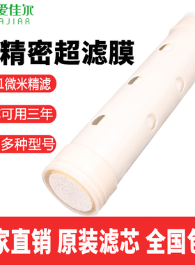 爱佳尔净水器滤芯AJ-10 6 500B21 8 999DEFKP过滤超滤膜直饮滤芯
