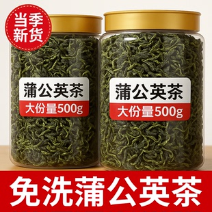 蒲公英新鲜长白山泡水喝野中生去菊花药茶特优级火金银花甘草材