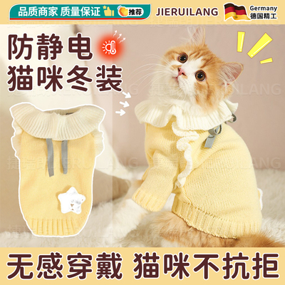 猫咪衣服冬天防静电保暖宠物绒衣防掉毛布偶蓝猫公主风毛衣过冬