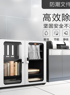 LENTHEM领顿防潮文件柜办公柜210W 加厚钢制资料柜档案柜书柜