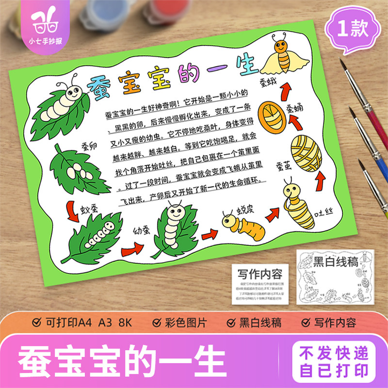 蚕宝宝的一生手抄报模板电子版昆虫自然观察笔记生长过程线稿