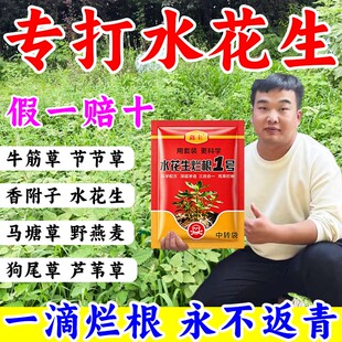 水花生除草专用剂根部渗透剂灭草剂连根灭专杀水花生阔叶草