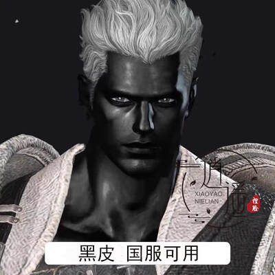 失落的命运方舟 男狂战士捏脸圣骑士亮黑皮督军国服俄服steam