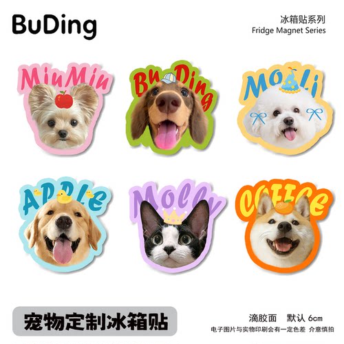 宠物冰箱贴定制猫咪狗狗照片定做滴胶周边装饰亚克力磁贴创意DIY