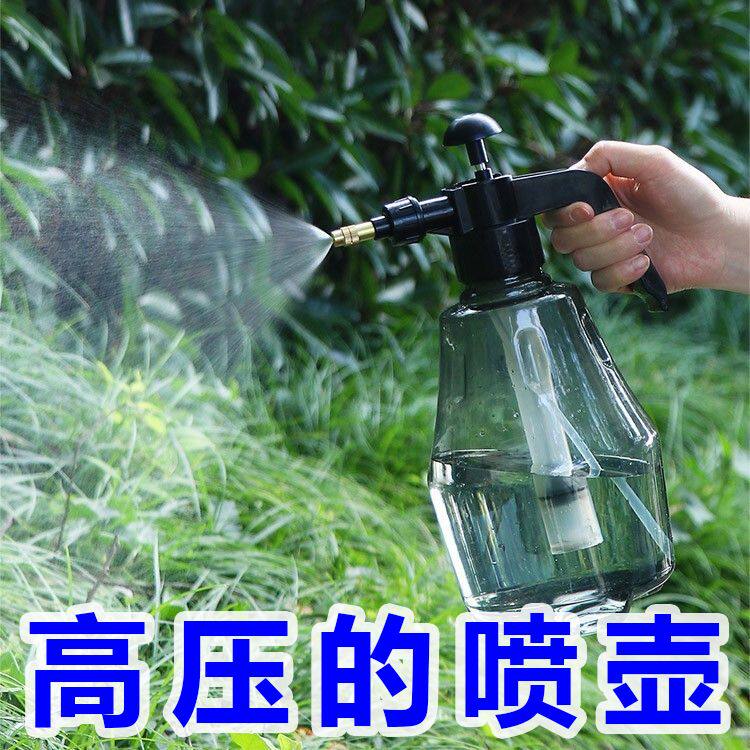 家用气压式浇花喷雾瓶园艺多肉植物浇水壶小型消毒浇花喷雾器喷壶