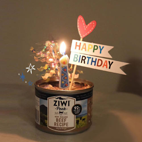 简约生日布置蜡烛装扮蜡烛生日蛋糕装饰插件宠物生日猫咪生日装扮