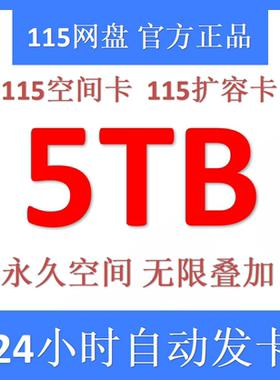 115云盘5TB空间卡 5TB永久空间卡 115网盘扩容卡 非1TB空间扩容卡