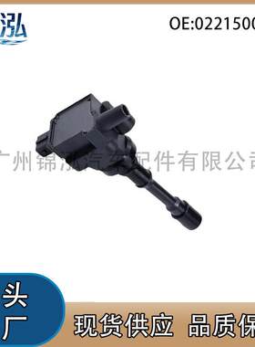 0221500803 DQG1219适用于东南希旺汽车点火线圈压包配件