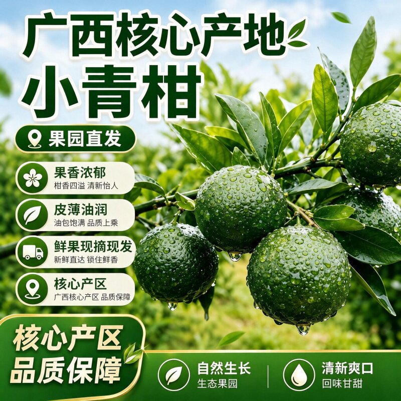 广西老树茶枝柑鲜果大青柑二红柑大红柑普茶柑晒皮专用果园直发