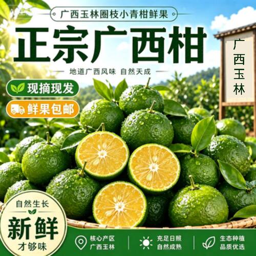 广西小青柑鲜果陈皮柑普茶柑原料