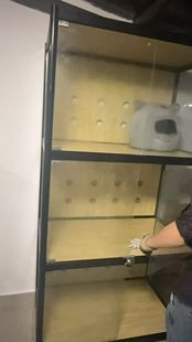 福建厦门同安的过年宠物寄养 20一天包月500