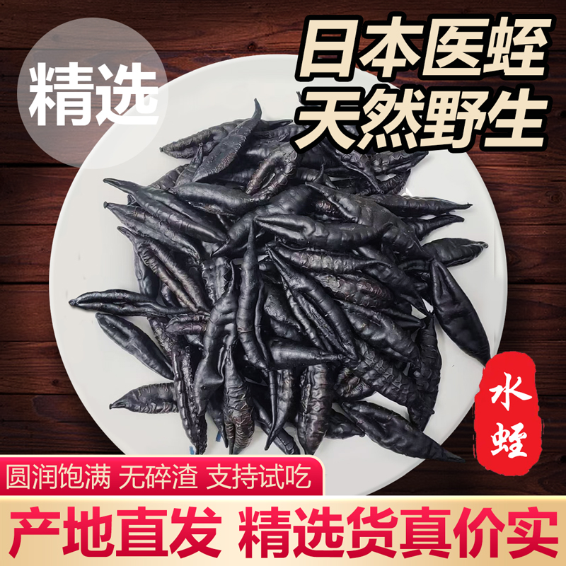 水蛭干特级野生医蛭干蚂蟥金线菲牛蛭日本水蛭中药材冻干粉片胶囊