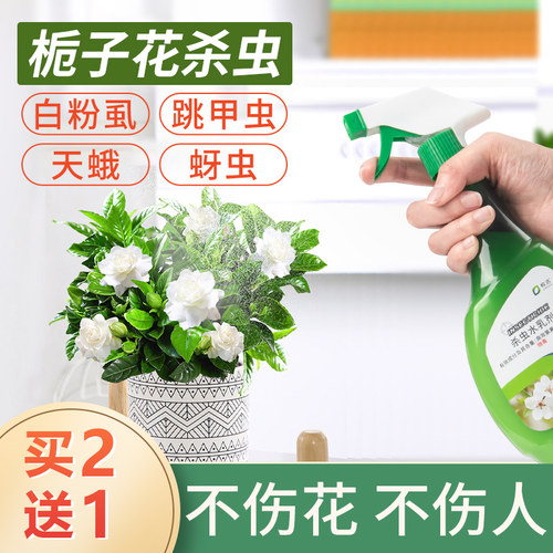 盆栽绿植杀虫药质量怎么样 盆栽绿植杀虫药口碑怎么样 小麦优选