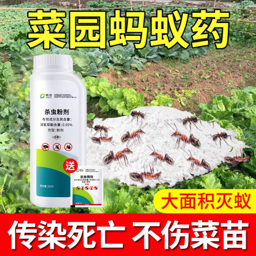 【不满意包退】蚂蚁药农用菜地