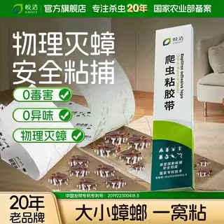 蟑螂贴强力粘家用非无毒厨房专用杀虫剂（卫生农药）