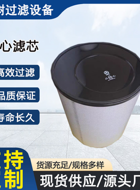 厂家直销罗茨风机用偏心滤芯176206000压缩机空气过滤器170836000