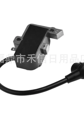 Echo PE2400 GT2000 GT201 GT2400 SRM2100高压包ED2100 EDR2400