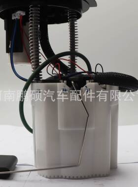 19370465 FP12190 96465232 93737081适用别克 雪佛兰燃油泵总成