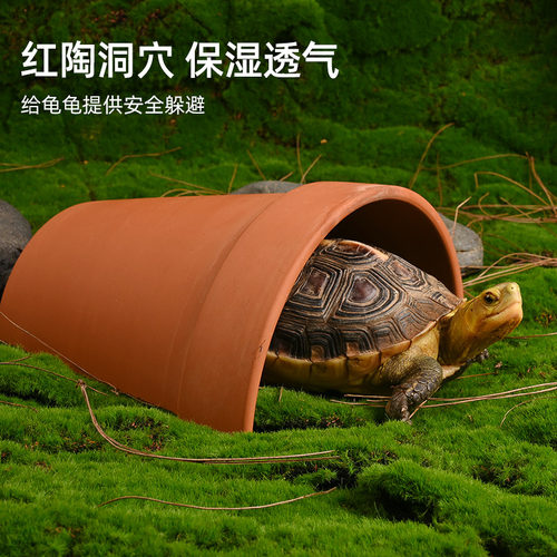 乌龟躲避洞穴瓦片黄缘造景装饰